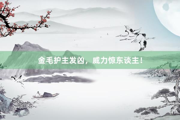 金毛护主发凶,威力惊东谈主!