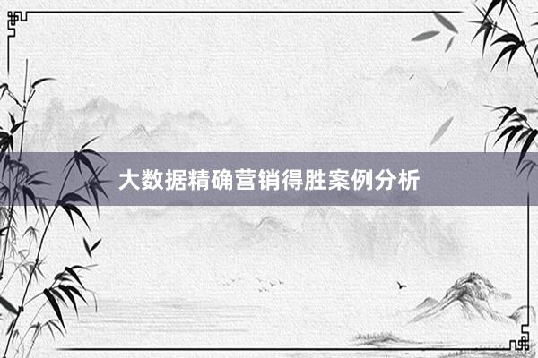 大数据精确营销得胜案例分析